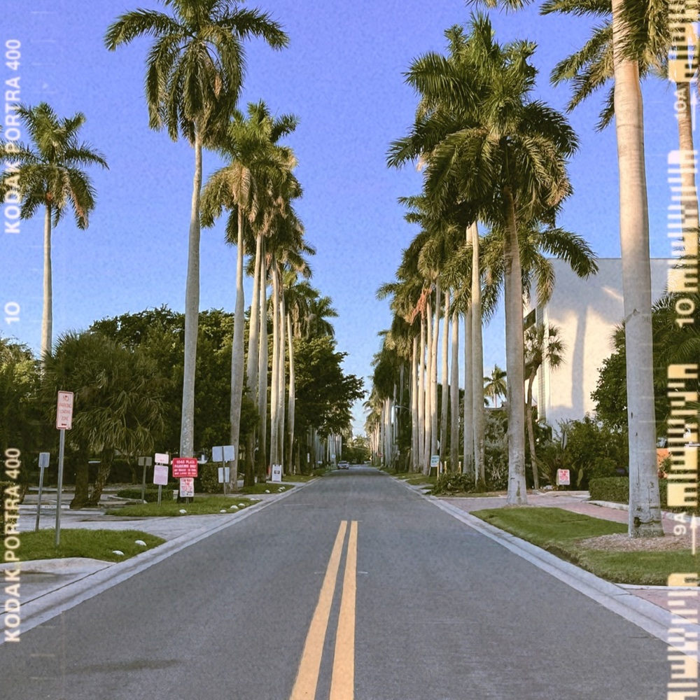 Meet your Posher, Riley